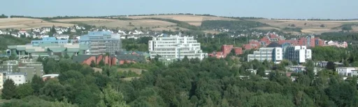 Universitatea din Trier