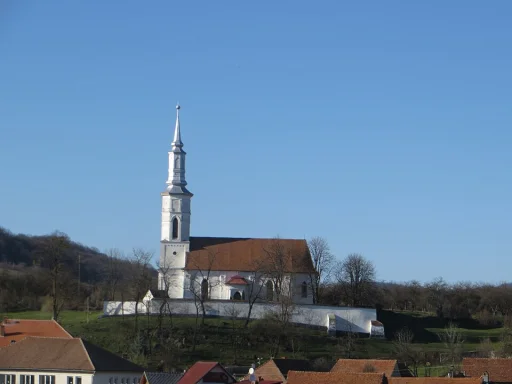 Racoș