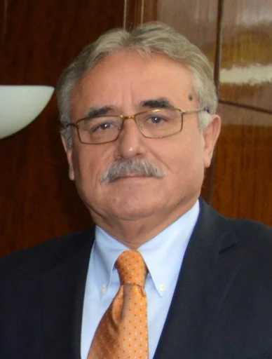 Viorel Ștefan