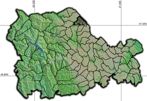 Timișești