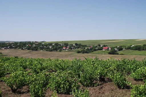Copăceni