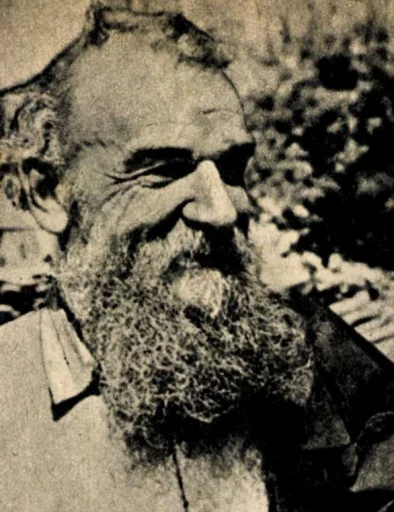 Constantin S. Nicolaescu-Plopșor
