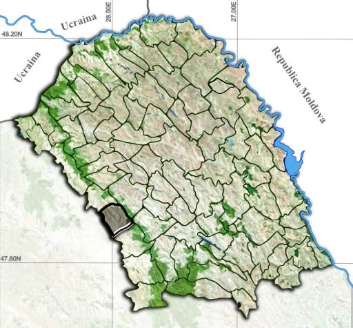 Vlădeni