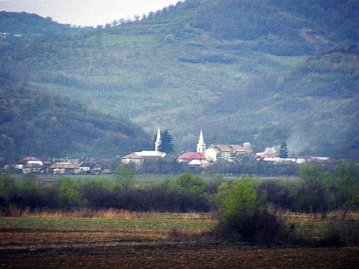 Braniștea