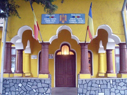 Fulga
