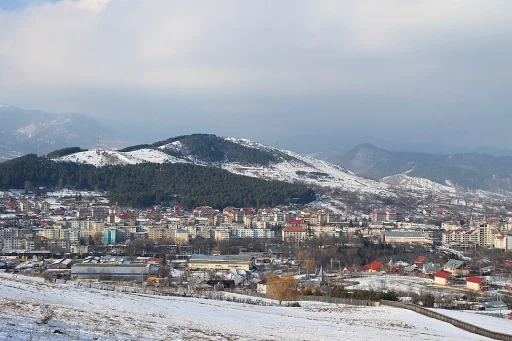 Moinești