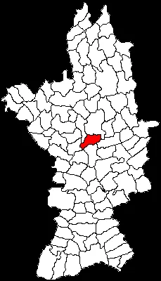 Coteana