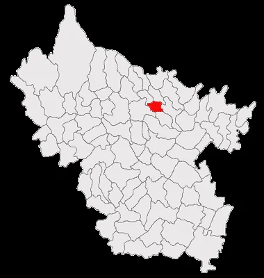 Murgești