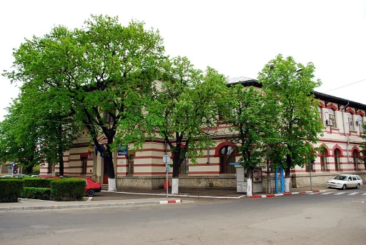 Colegiul Național Bogdan Petriceicu Hasdeu