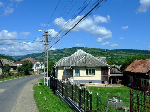 Salva