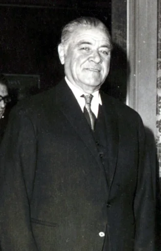 Ion Gheorghe Maurer