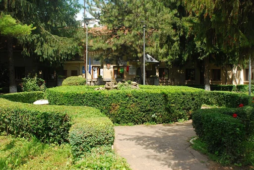Pogoanele
