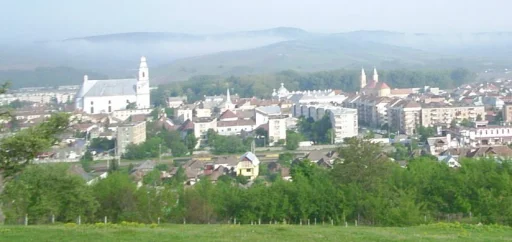 Județul Cluj