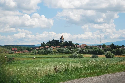 Cincu