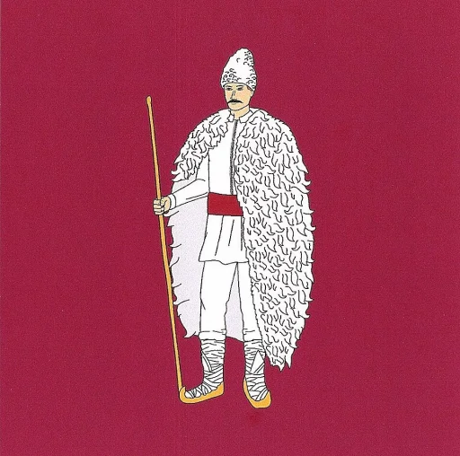 Băcioi