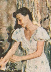 Irinel Liciu